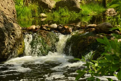 DSC_6368 (Large).JPG